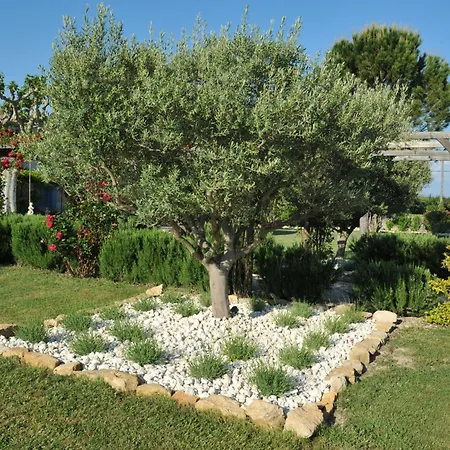 Bed and breakfast Terre Des Anges